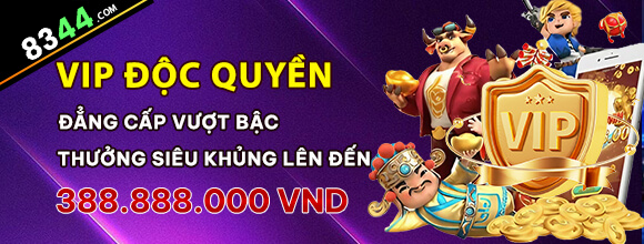Hình ảnh quảng cáo của mwc77 hiển thị nền tảng và các lợi ích