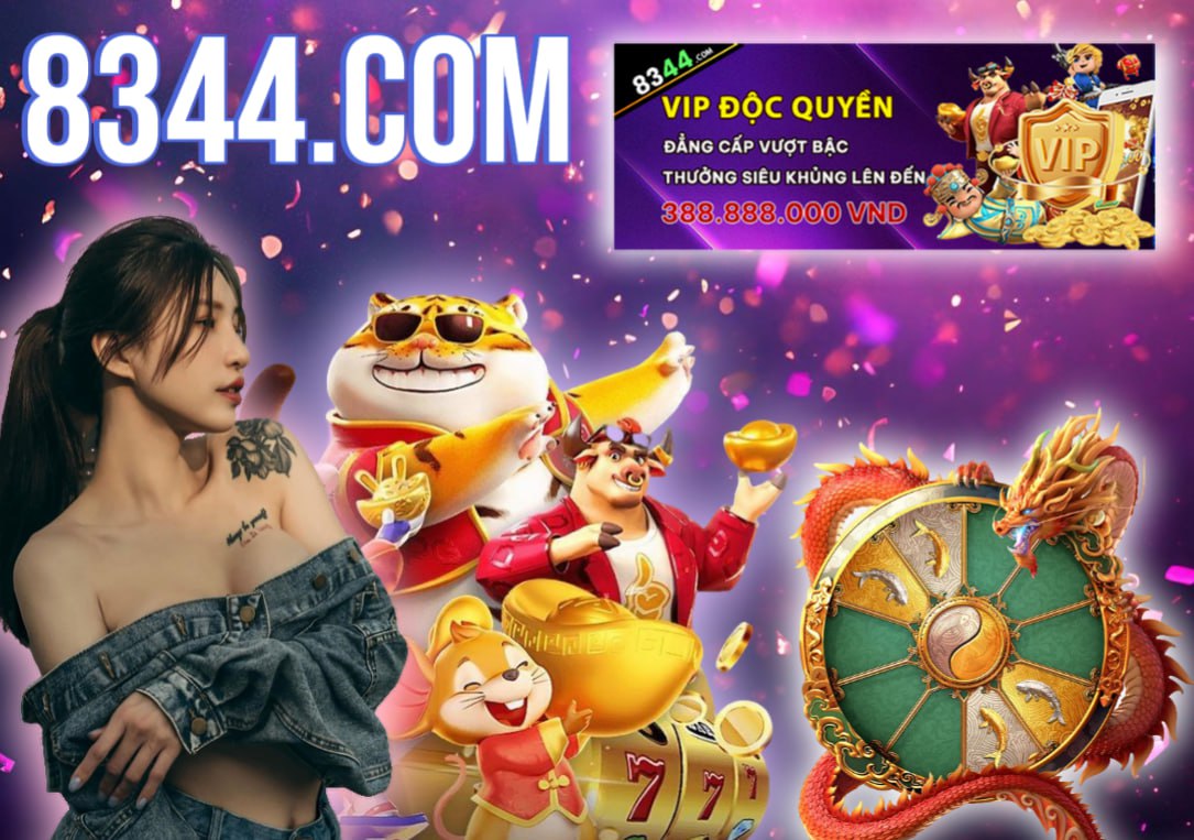 Hình ảnh quảng cáo của mwc77 hiển thị nền tảng và các lợi ích